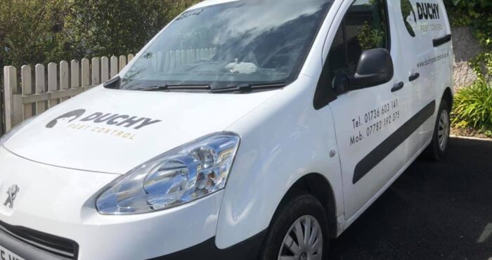 duchy pest control hayle