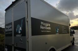 Magpie Removals